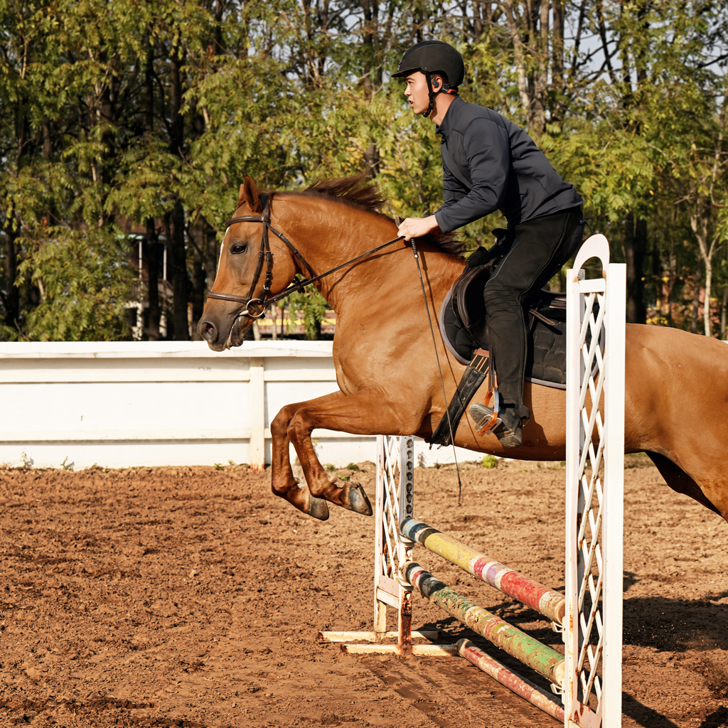 EKO EQUINE