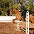 EKO EQUINE